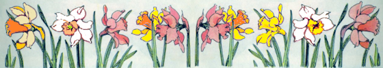 separator